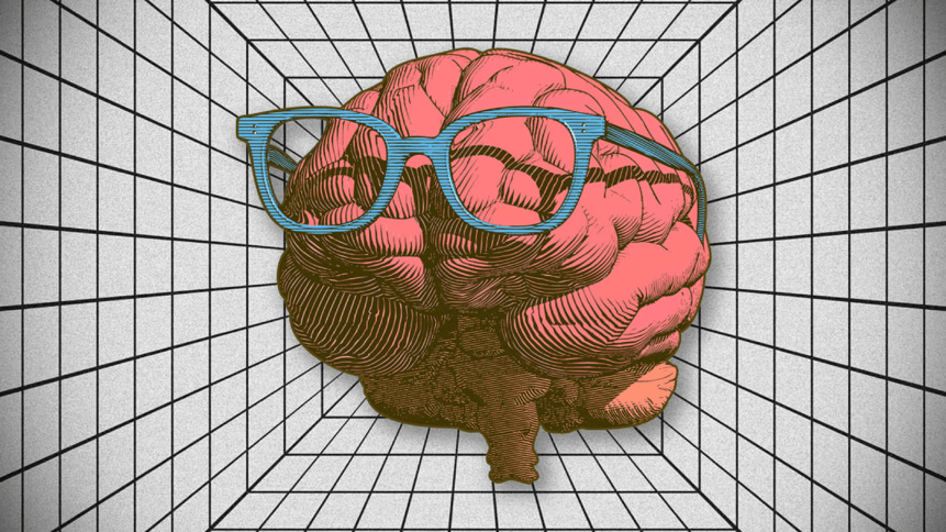 Brain